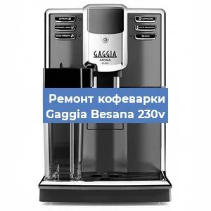 Чистка кофемашины Gaggia Besana 230v от кофейных масел в Санкт-Петербурге
